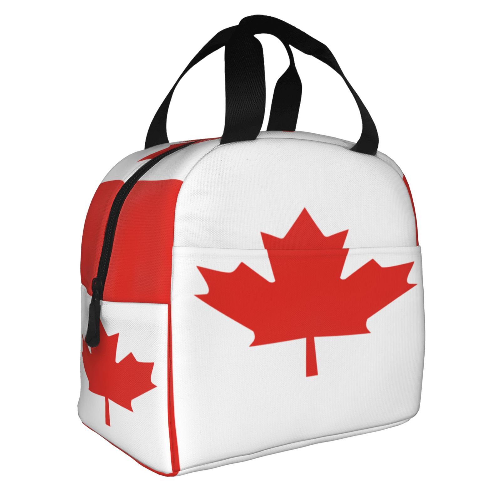 Borsa per il pranzo modello ba - Women Bags Canada recensione e prezzo